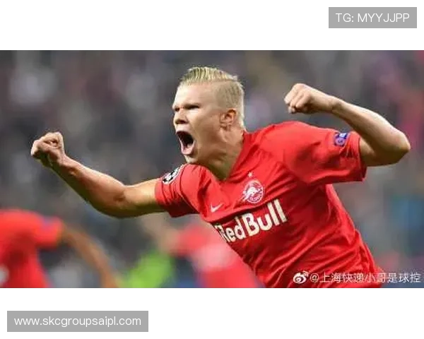 尊龙z6登录操作指南，详细步骤帮助新手用户轻松完成登录流程