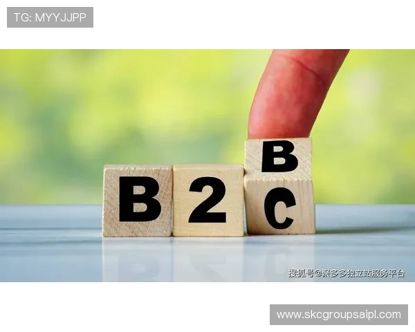 尊龙时凯官方网站入口网页版平台功能全面介绍与使用技巧解析