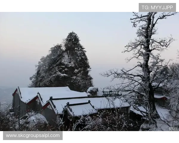 d8娱乐官网的支付方式多样化,支持多平台快速充值体验 d8娱乐官网的支付方式多样化,支持多平台快速充值体验